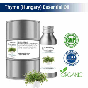 Thyme (Hungary) Thyme Essential Oil