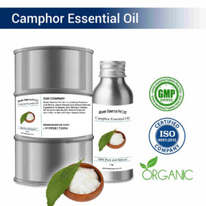 Camphor Essential Oil