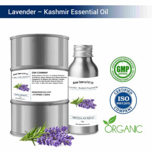 Lavender – Kashmir Essential Oil