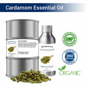 Cardamom Essential Oil